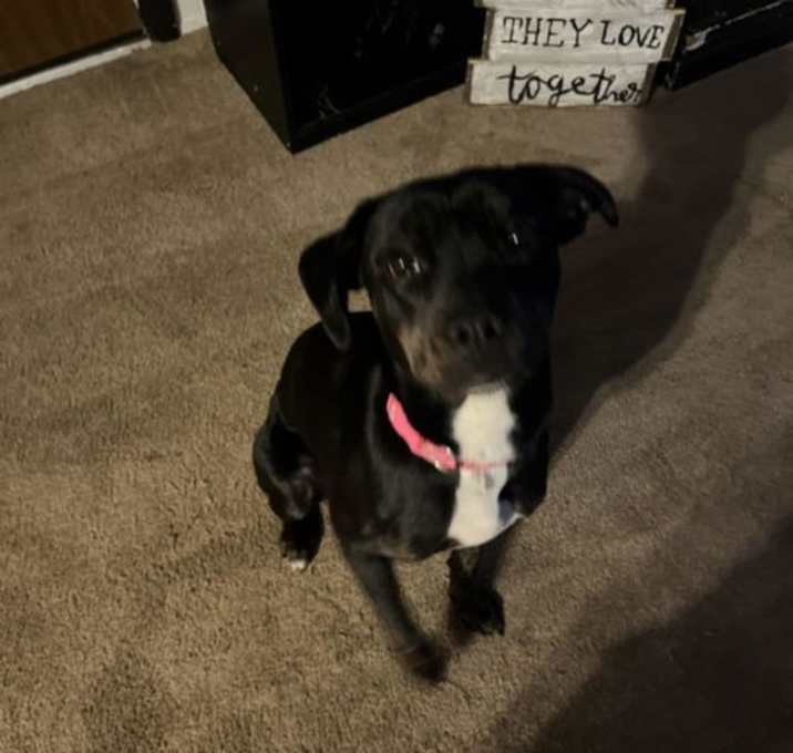 Photo of Maggie Mae