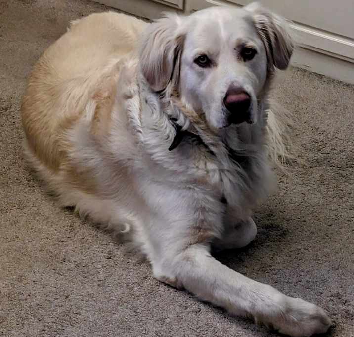 Photo of Jaeger