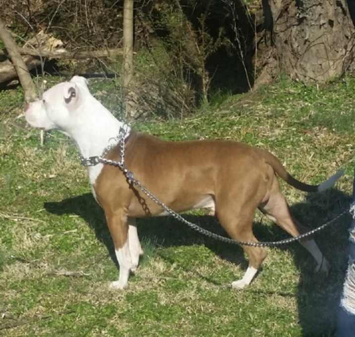 Photo of Rockii