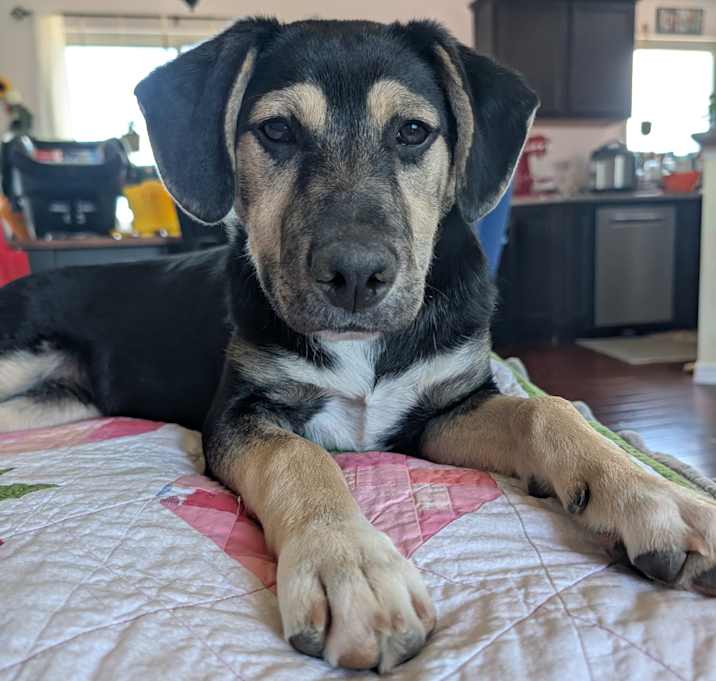 Photo of Manny