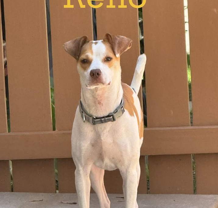 Photo of Reno