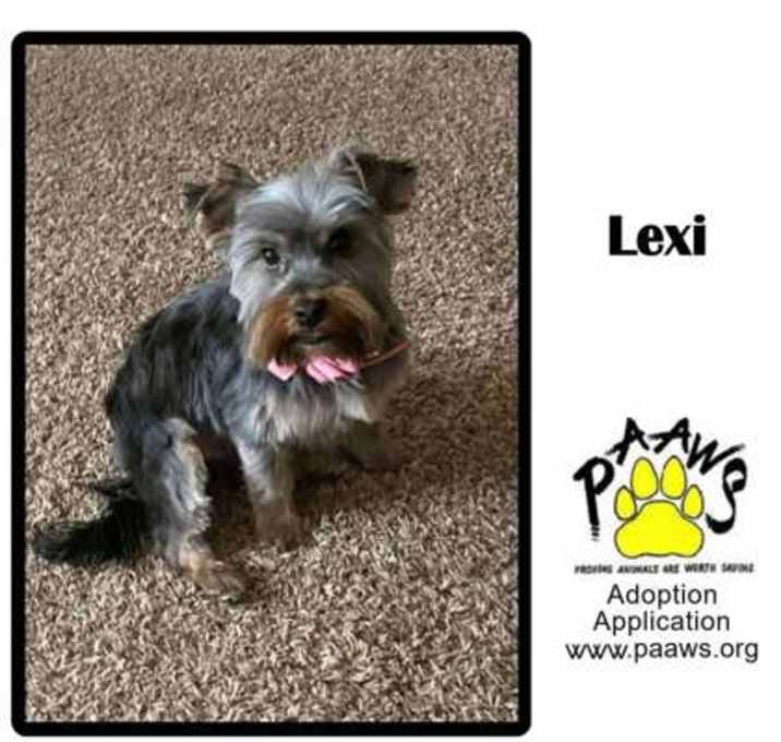 Photo of Lexi