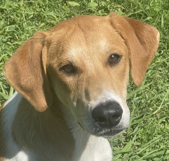 Photo of Tina