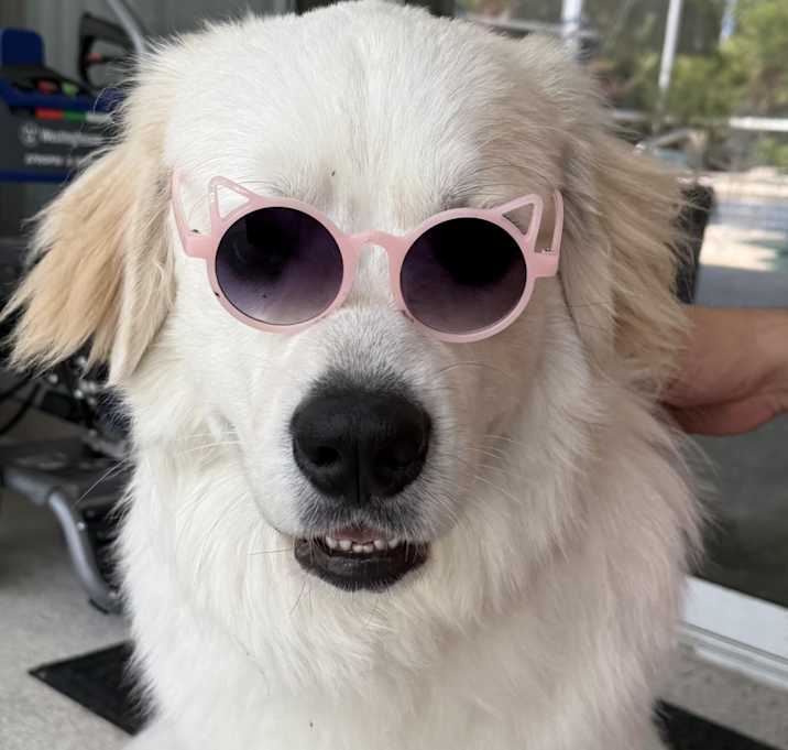 Photo of Duke