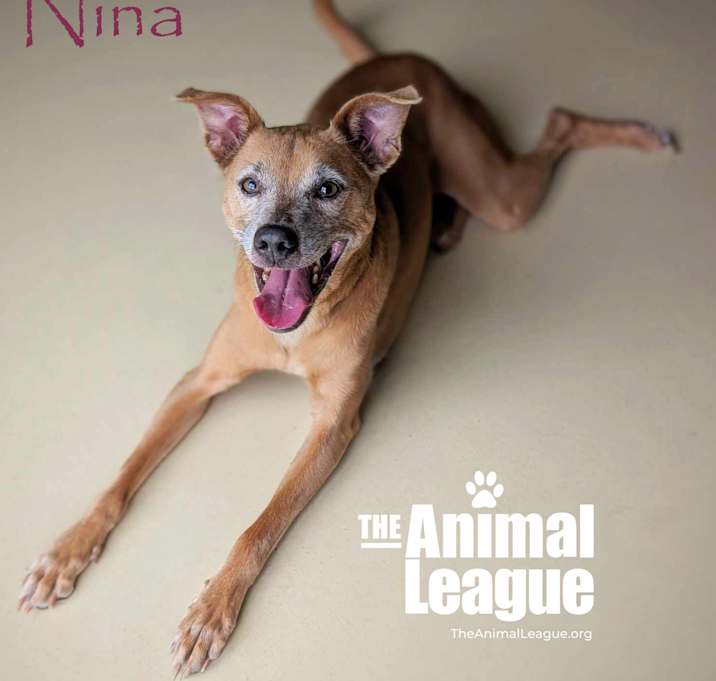Photo of Nina