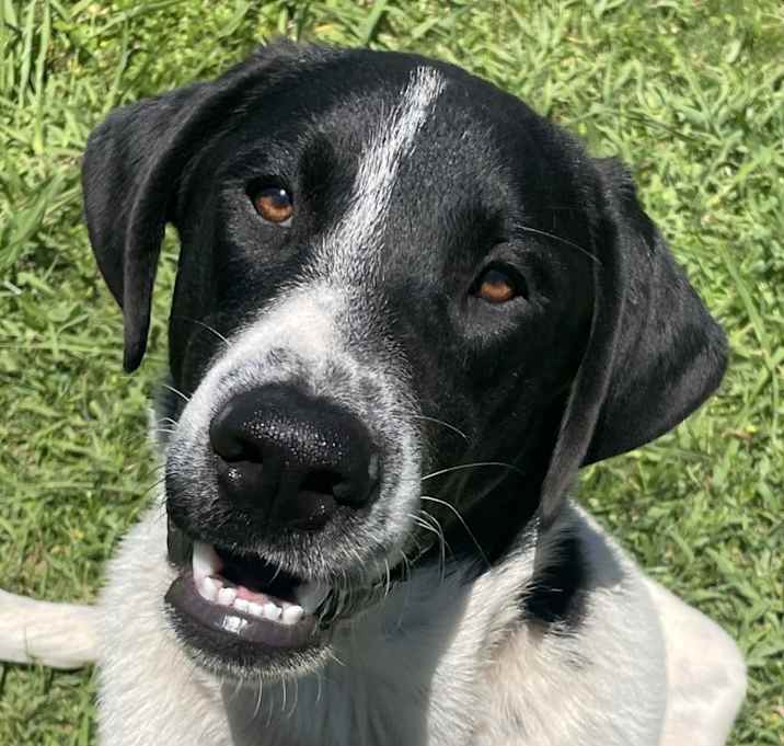 Photo of Carl