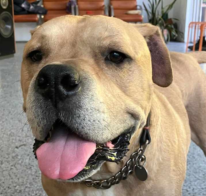 Photo of Leo