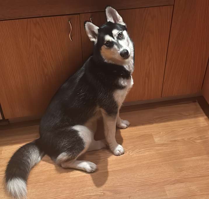 Photo of Lala