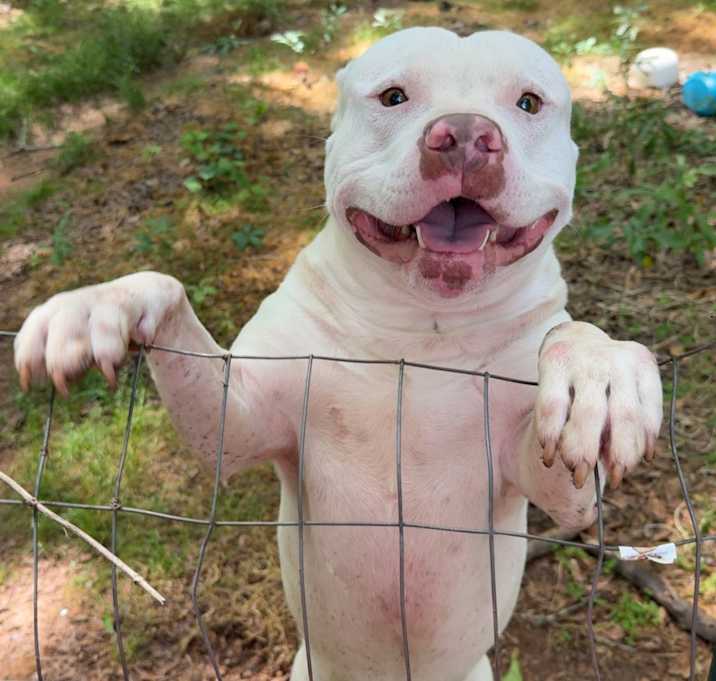Photo of Ghost