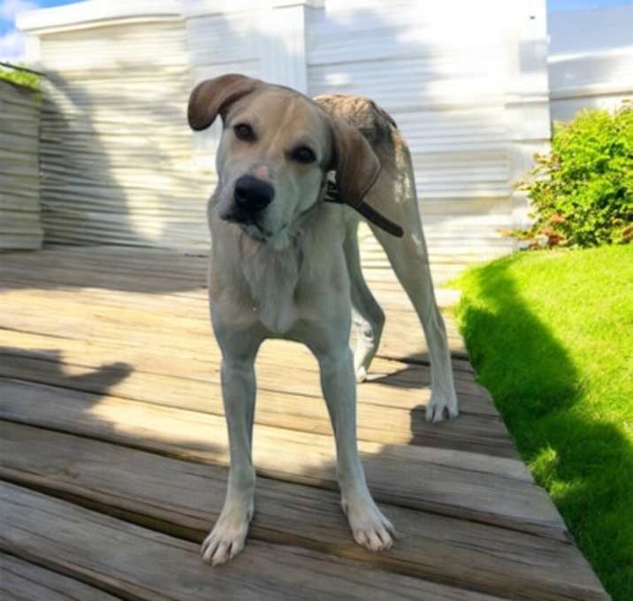 Photo of Jack