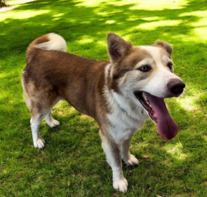 Photo of Duke