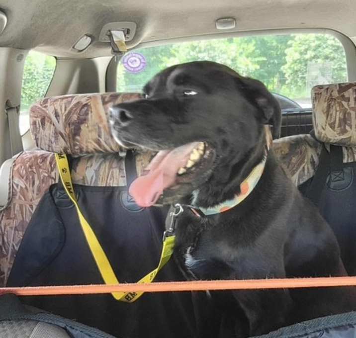 Photo of Gunner