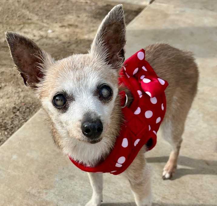 Photo of Roxy