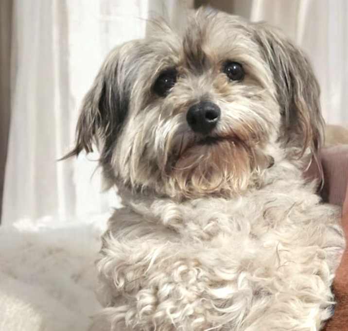 Photo of Chiquita