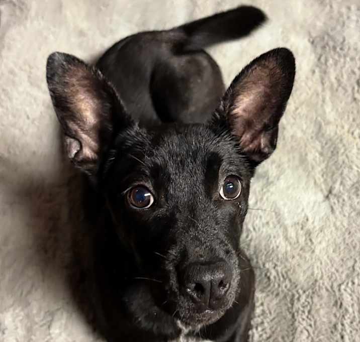 Photo of Evie