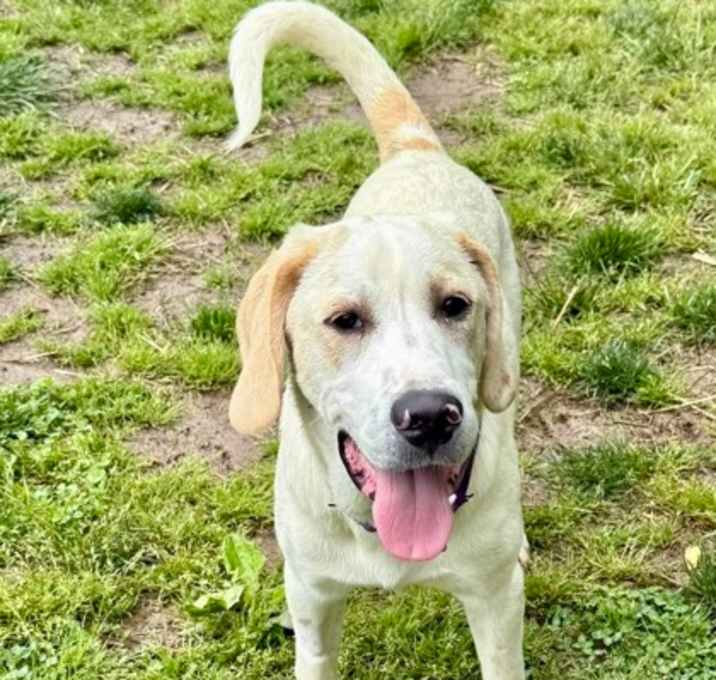 Photo of Brutus