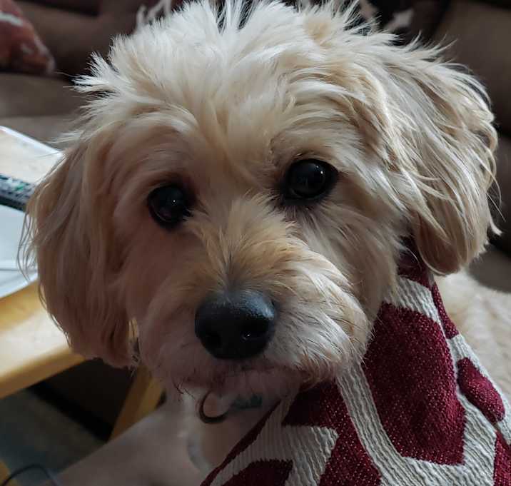 Photo of Sammy