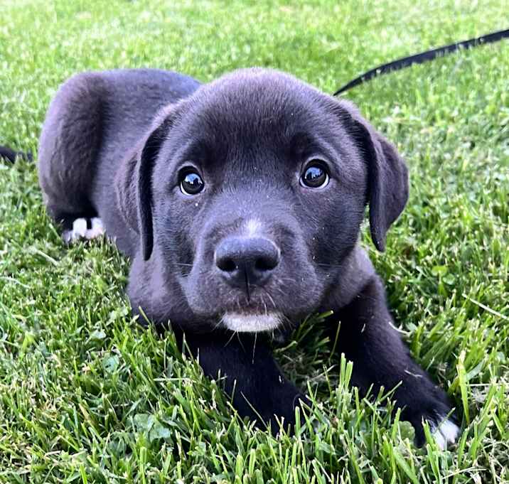 Photo of Maisey