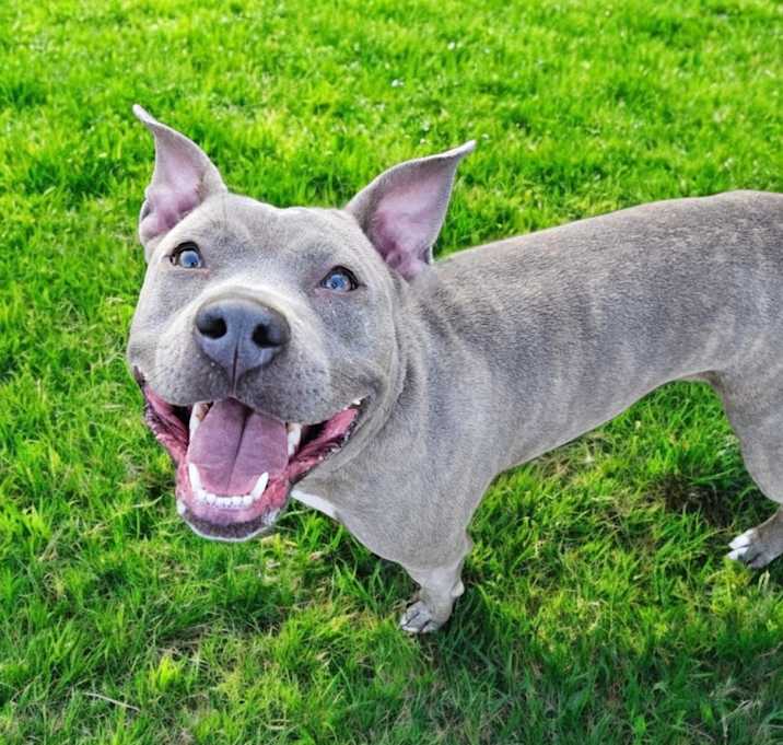 Photo of Millie Mae