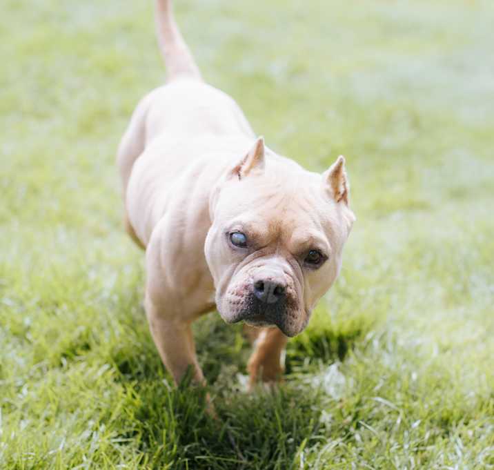 Photo of Angela
