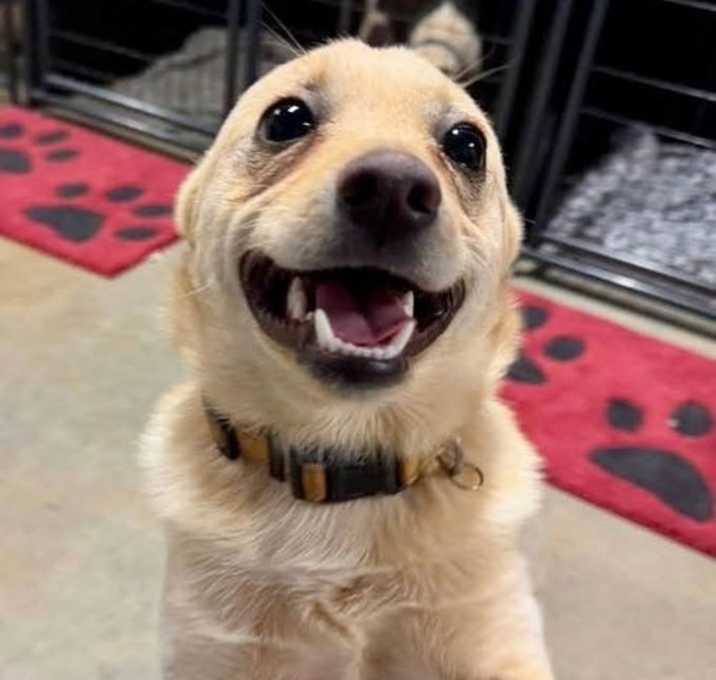 Photo of Butters