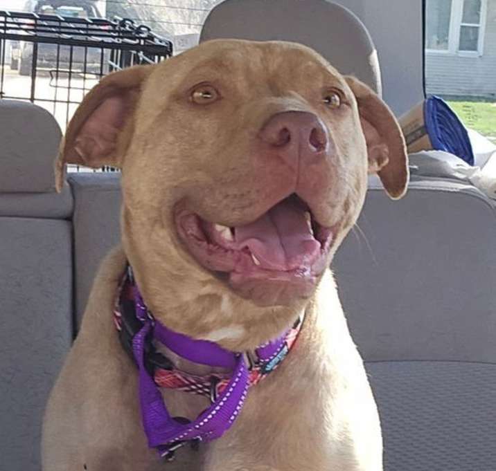 Photo of Honeybun