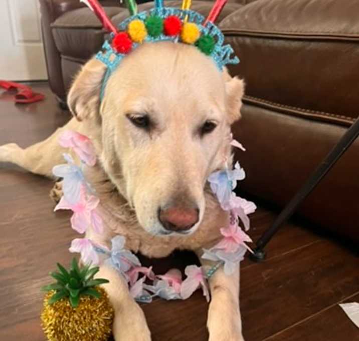 Photo of Sunny