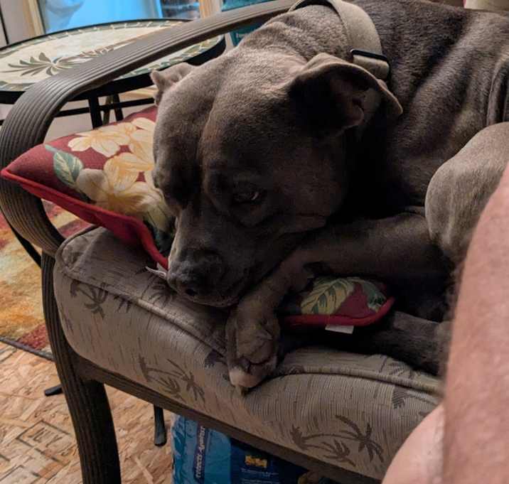 Photo of Thor