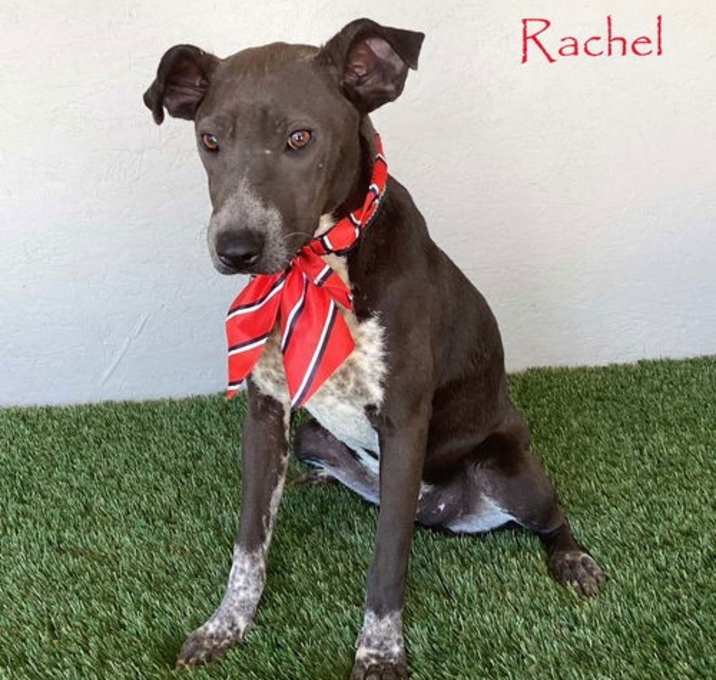 Photo of Rachel