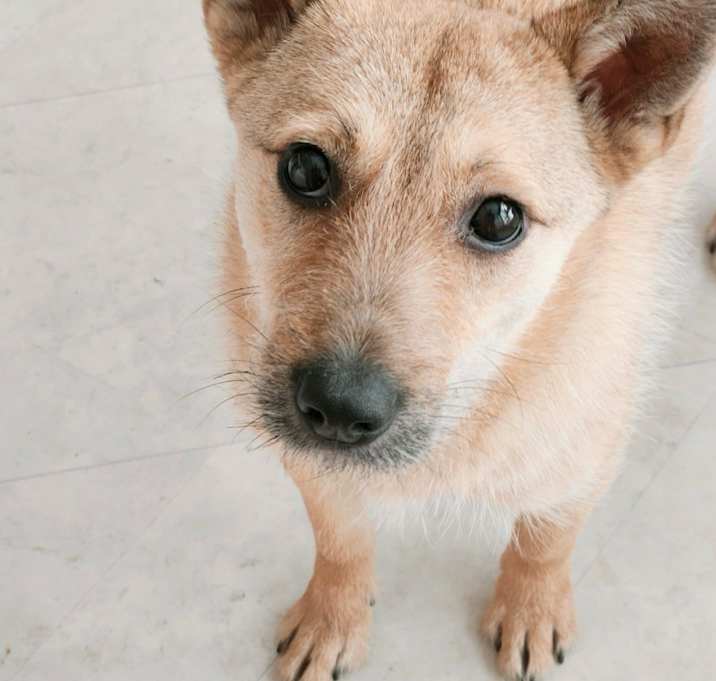 Photo of Hyunmi