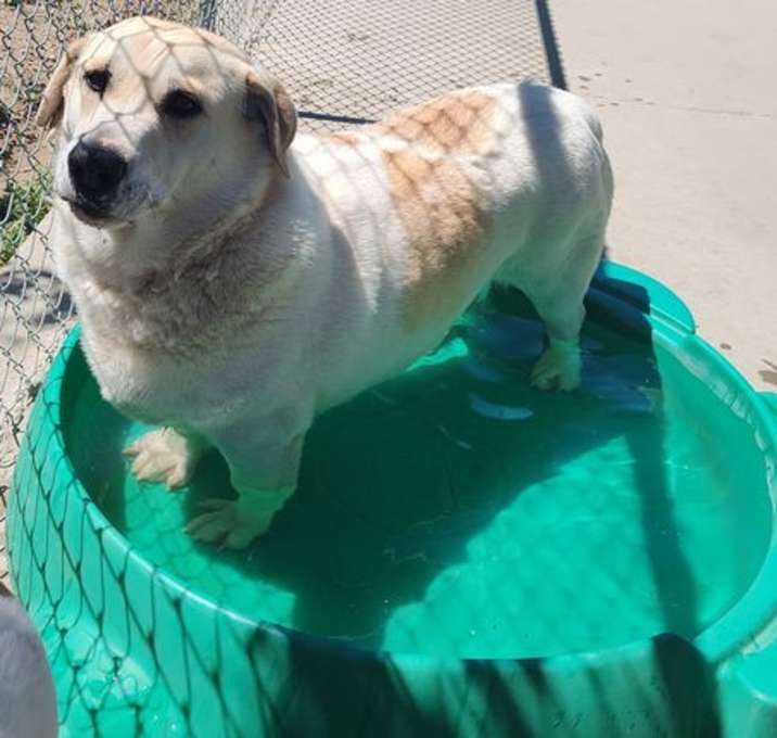 Photo of Tuck