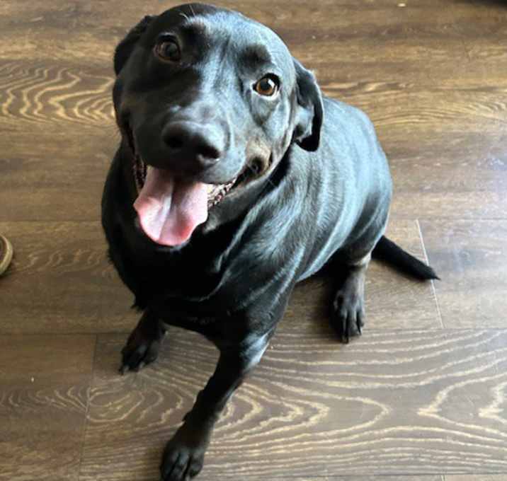 Photo of Daisy