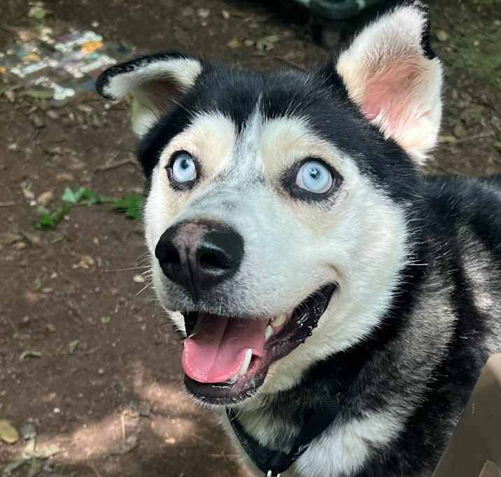 Photo of Kylo