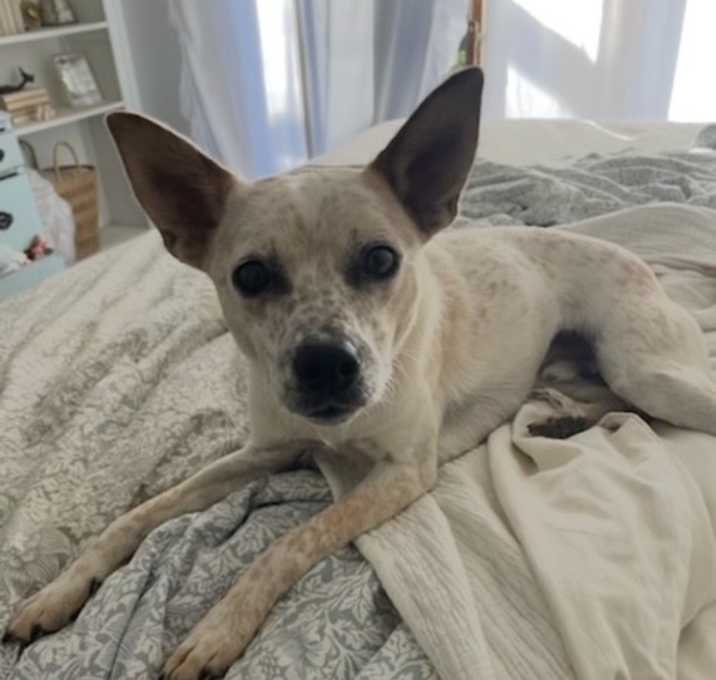Photo of Rudy