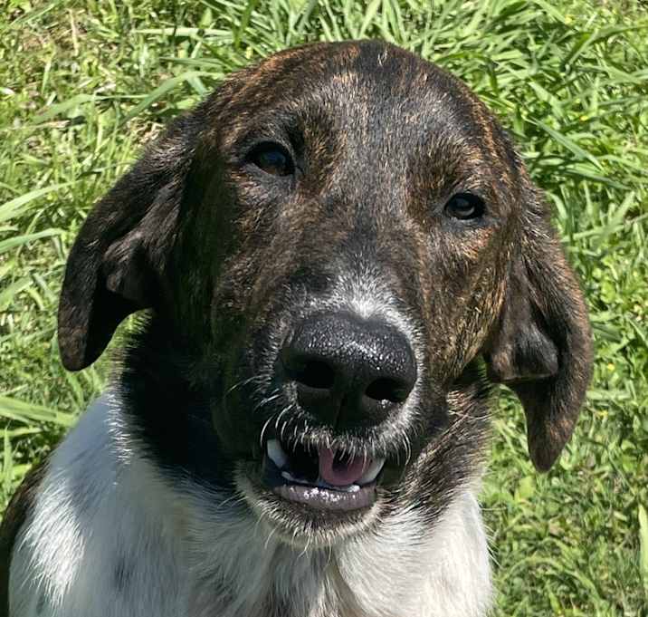 Photo of Enoch