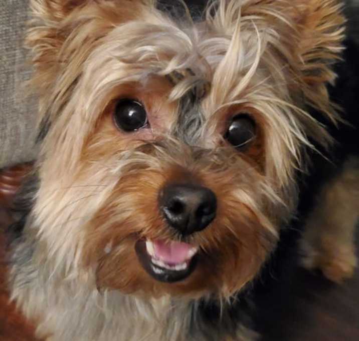 Photo of A Olley
