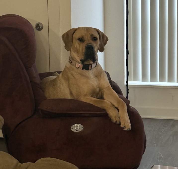 Photo of Indy