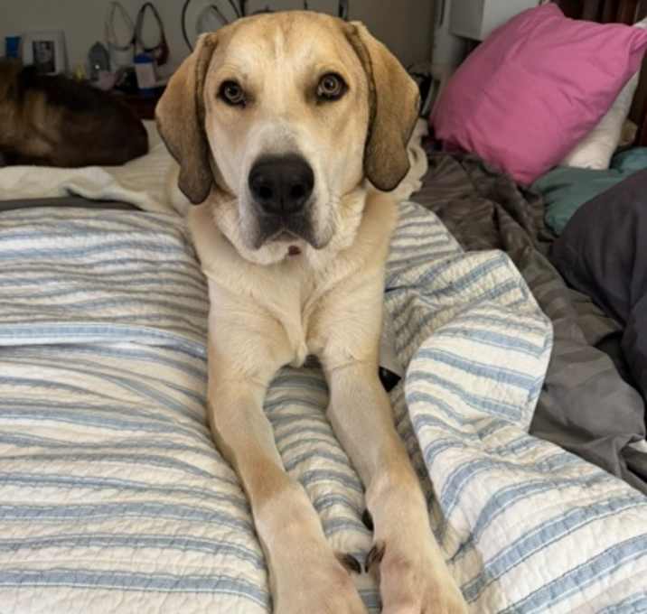 Photo of Willie