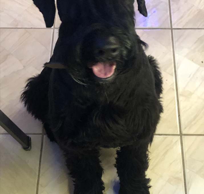 Photo of Bentley