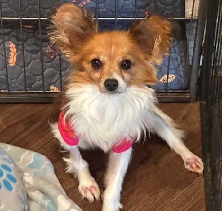 Photo of Fred