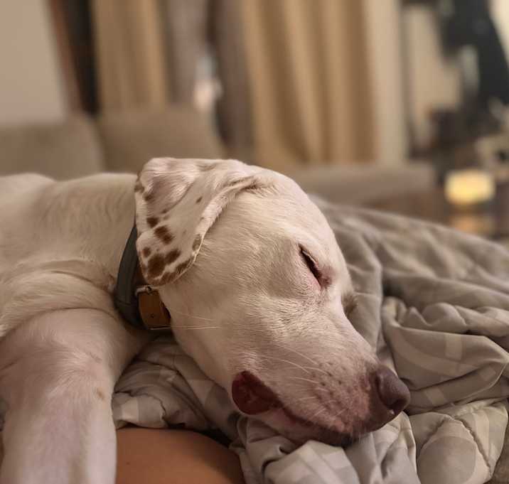 Photo of Lilah