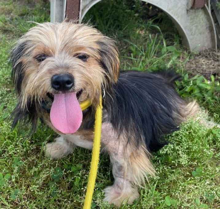 Photo of Rocket Mar 25
