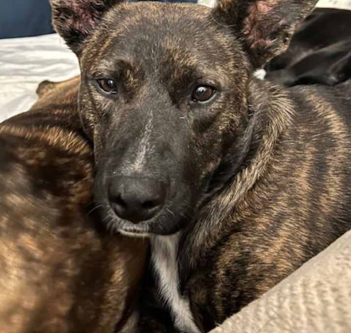 Photo of Winnie