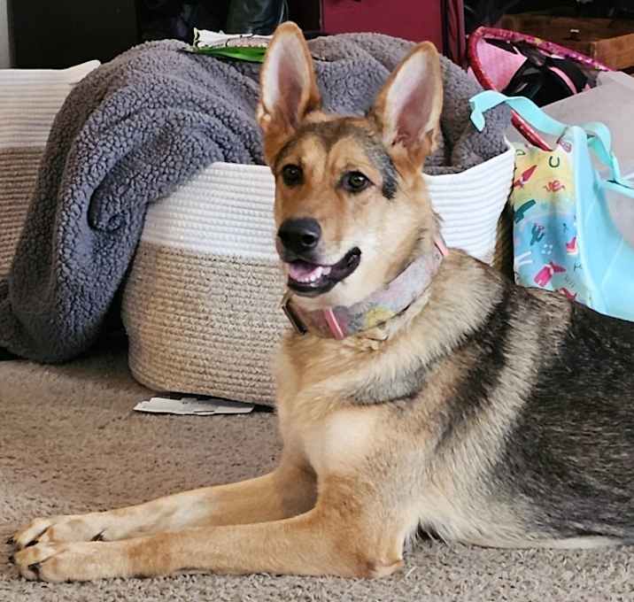 Photo of Mazzie