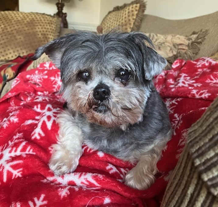 Photo of Sadi