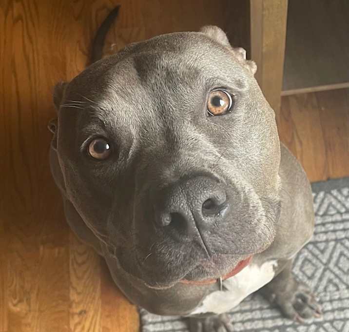 Photo of Rico