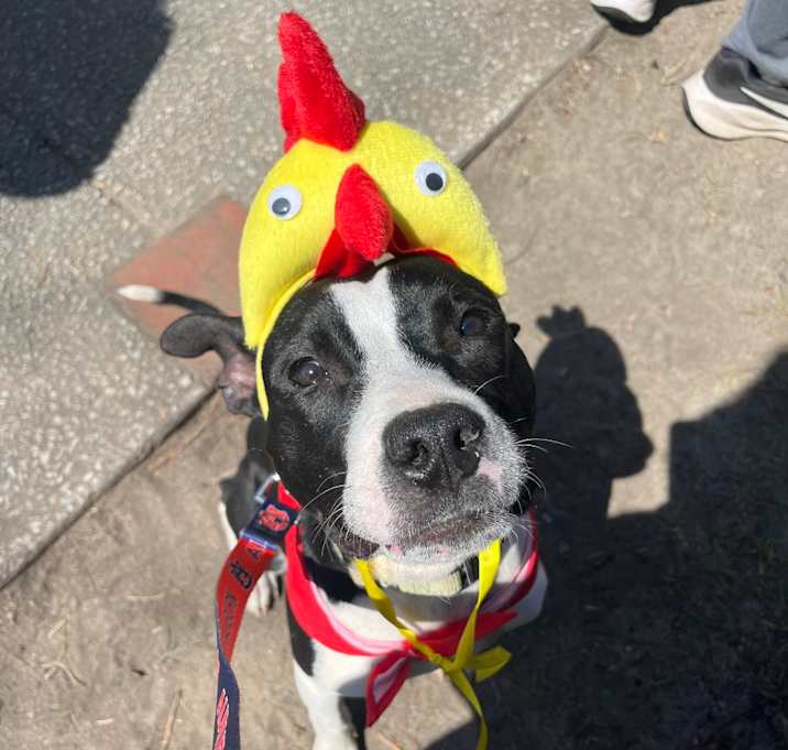 Photo of Bentley