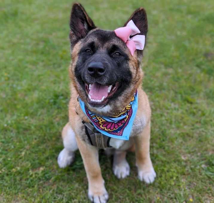 Photo of Kiki