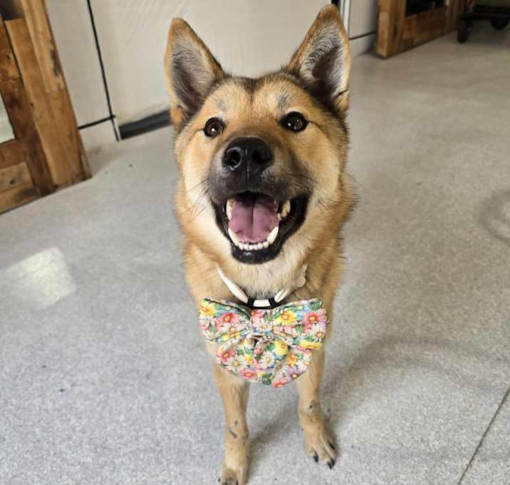 Photo of EUNGYO