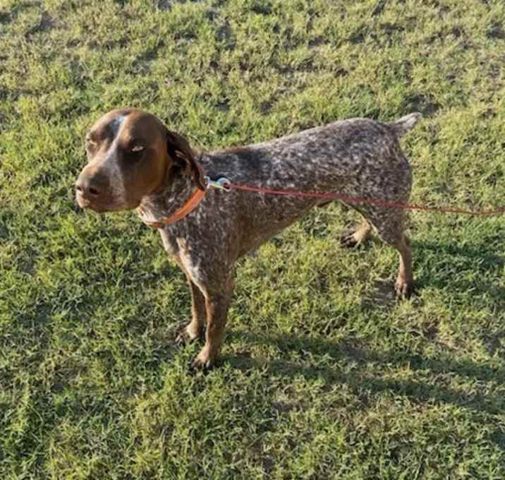 Photo of Tank